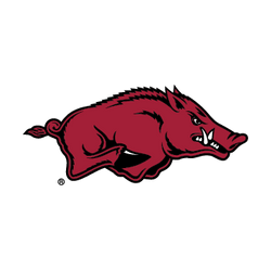Arkansas Razorbacks