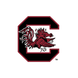 South Carolina Gamecocks